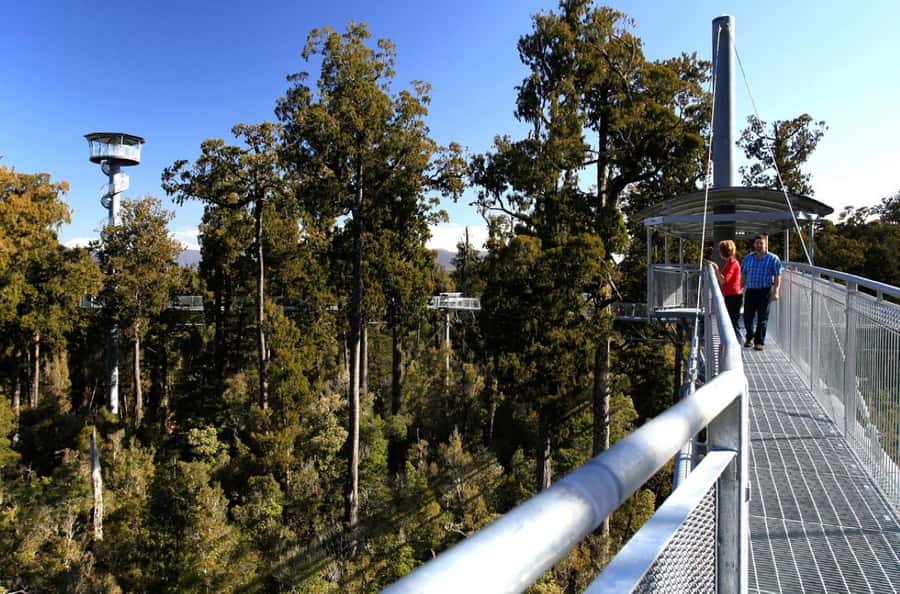 Hokitika: West Coast Tree Top Tower Zip Line and Walk - Practical value at $71 per person
