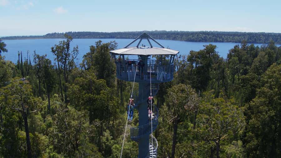Hokitika: West Coast Tree Top Tower Zip Line and Walk - Walking through Hokitika’s ancient rainforest