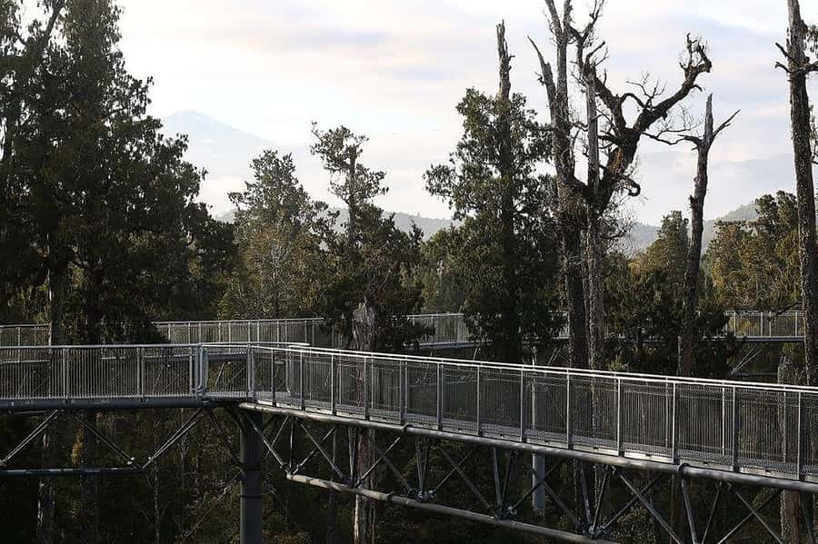 Hokitika: West Coast Treetop Walkway Entrance Ticket - Key points before you go