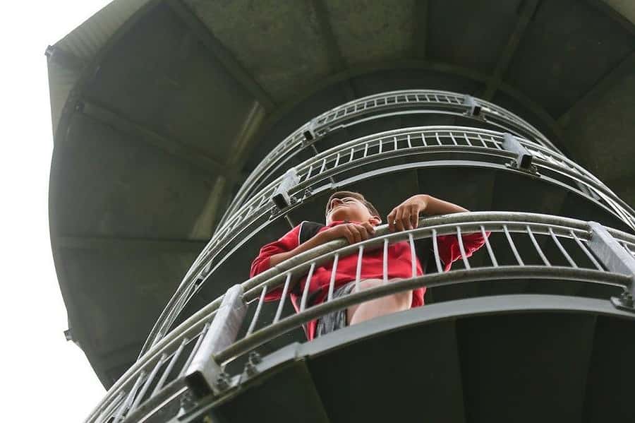 Hokitika: West Coast Treetop Walkway Entrance Ticket - Birds, quiet pauses, and the feel of the forest