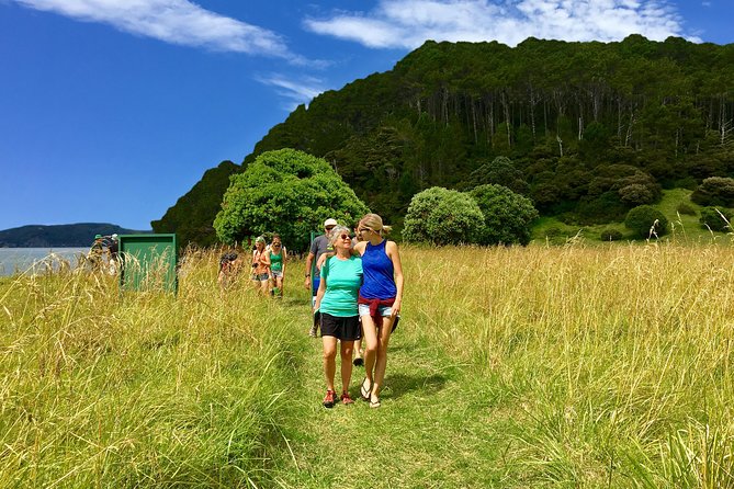 Hole in the Rock Cruise & Island Tour - with two island stopovers - Cape Brett Lighthouse and the outer bay