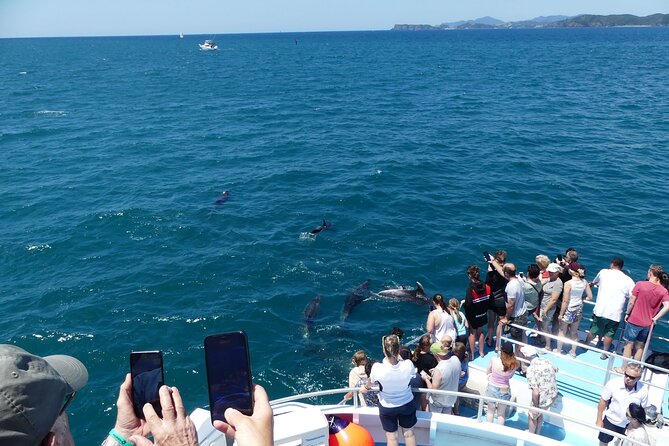 Hole in the Rock Scenic Cruise including Dolphins and Island stop - Looking for dolphins in open water