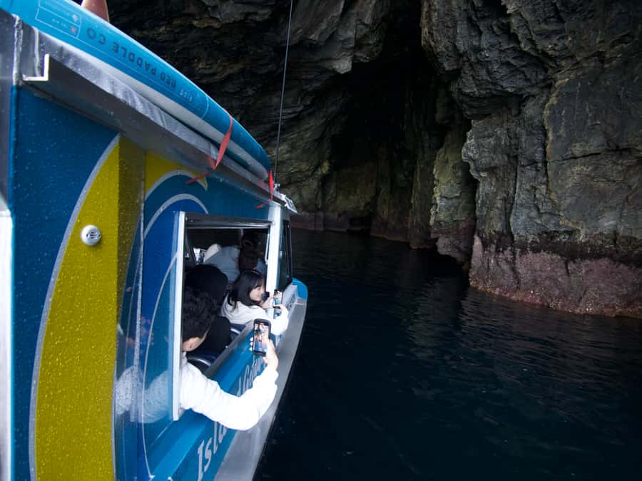 Hole in the Rock Tour & Bay of Islands Cruise - Key points to know before booking