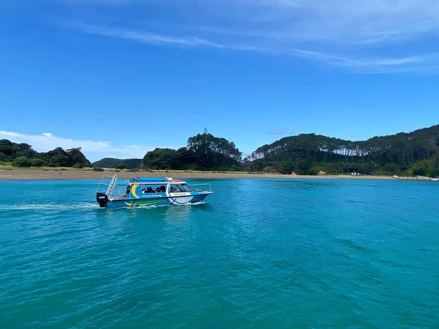 Hole in the Rock Tour & Bay of Islands Cruise - Is $86 good value?