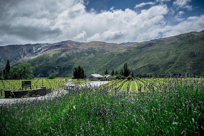 Hop on Hop off Wine Tours Queenstown - The best way to plan your half or full day