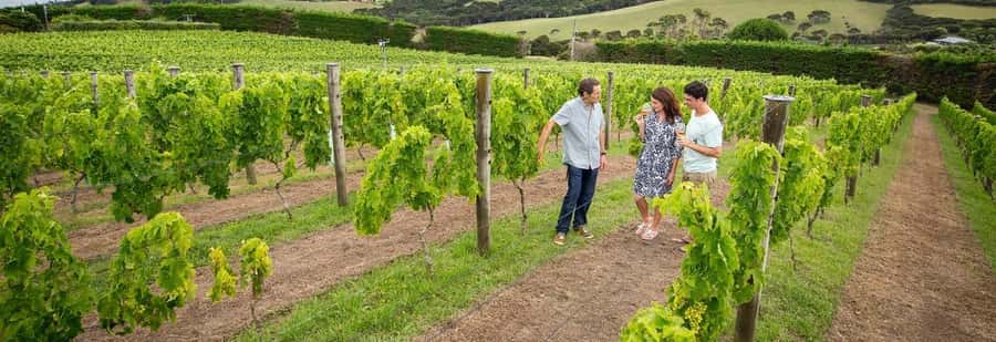 Horse Riding, Wine Tasting & Art Trail Private Tour - Wine tasting and lunch at Glasshouse Kitchen