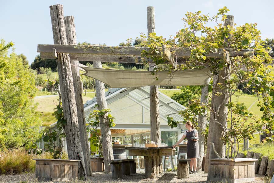 Horse Riding, Wine Tasting & Art Trail Private Tour - One hour on horseback for every riding level