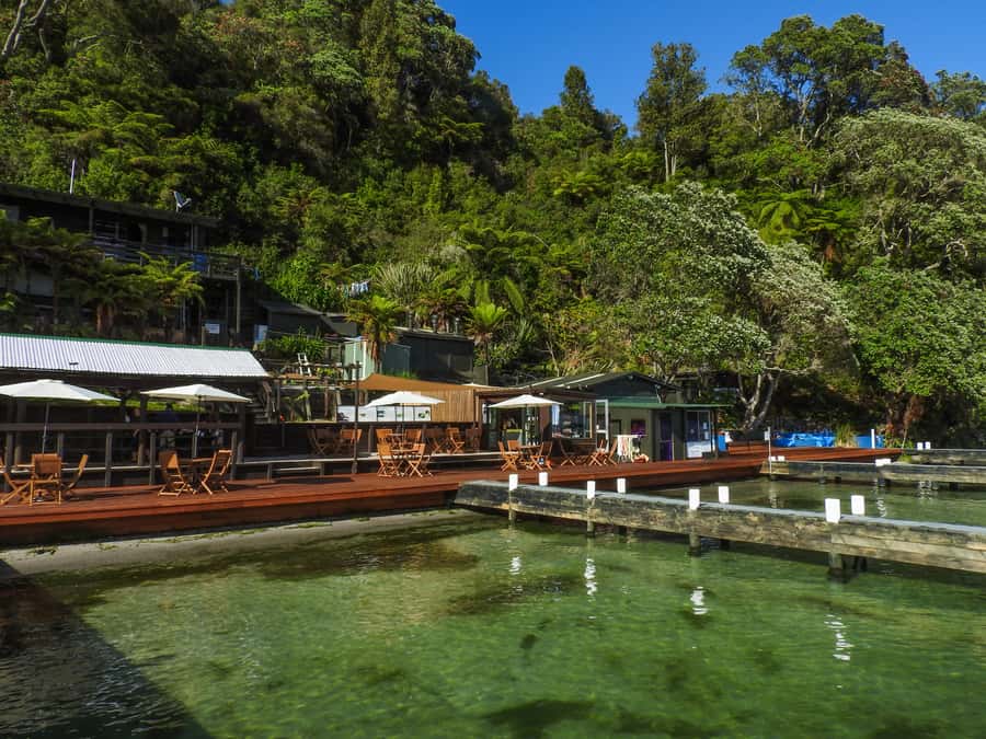Hot Pools Kayak & Evening Barbecue - Getting ready at the Rotorua base