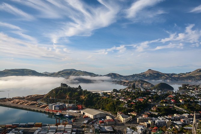 Iconic Shore Excursion: Dunedin City Highlights Tour - Key points to know before booking