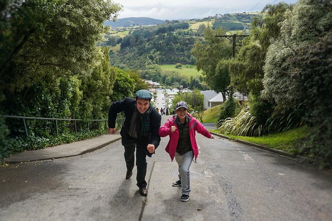 Iconic Shore Excursion: Dunedin City Highlights Tour - A practical way to see Dunedin from Port Chalmers