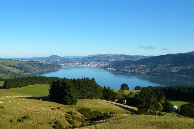 Iconic Shore Excursion: Dunedin City Highlights Tour - Dunedin Railway Station is the grand architectural stop