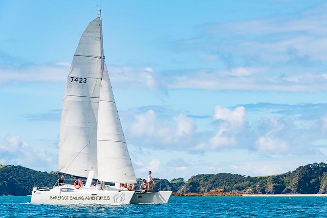 Island Hopper Day Cruise - sailing to wildlife sanctuary island - 6 hr cruise - Key points to know before you book