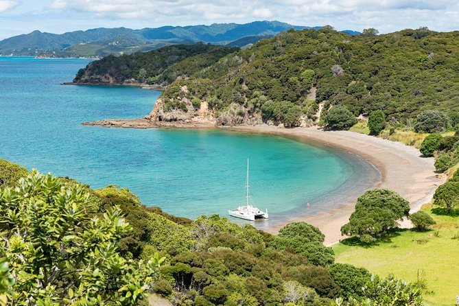 Island Hopper Day Cruise - sailing to wildlife sanctuary island - 6 hr cruise - Boarding at Paihia Beach at 10:00 am