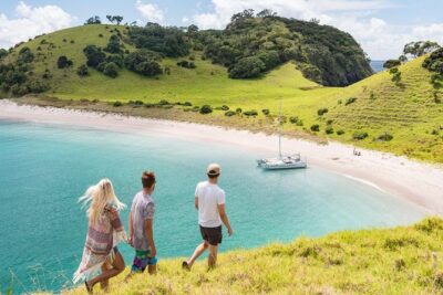 Island Hopper Day Cruise – sailing to wildlife sanctuary island – 6 hr cruise