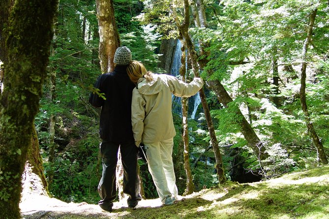 Jet Boat and Wilderness Walk Tour from Wanaka - Weather, clothing, and cancellation details