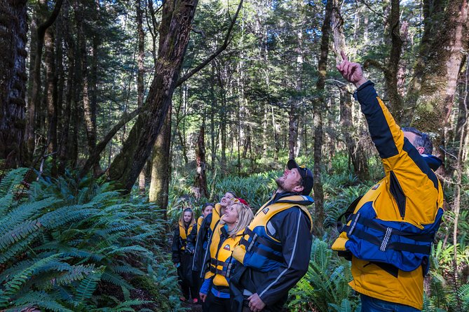 Jet Boat Journey through Fiordland National Park - Pure Wilderness - Finding the Lord of the Rings locations