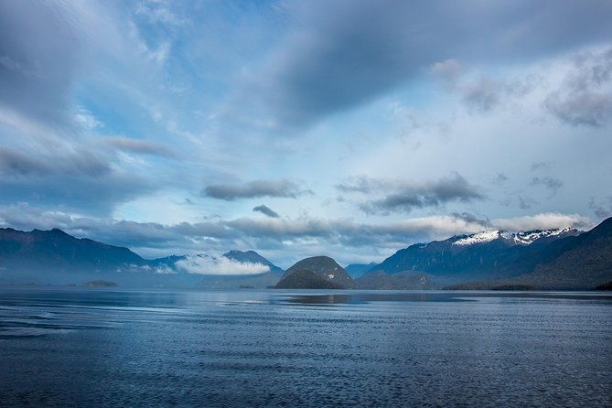 Jet Boat Journey through Fiordland National Park - Pure Wilderness - The return run adds another burst of fun