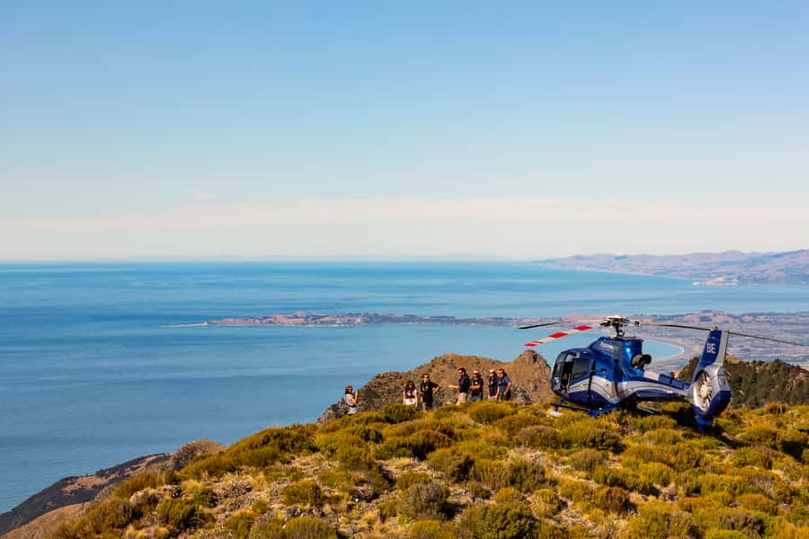 Kaikoura: 1-Hour Whale Watching Helicopter Tour - Final verdict: book it for the full picture