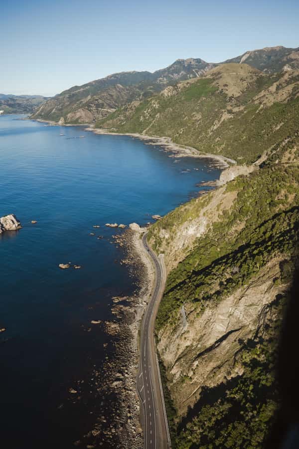 Kaikoura: 1-Hour Whale Watching Helicopter Tour - Looking down on sperm whales from the air