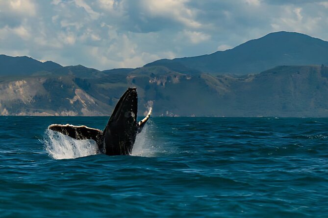Kaikoura Day Tour From Christchurch - Key points before you book
