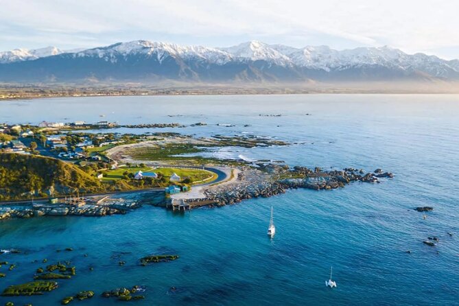 Kaikoura Day Tour From Christchurch - Why Kaikōura makes a strong day trip from Christchurch