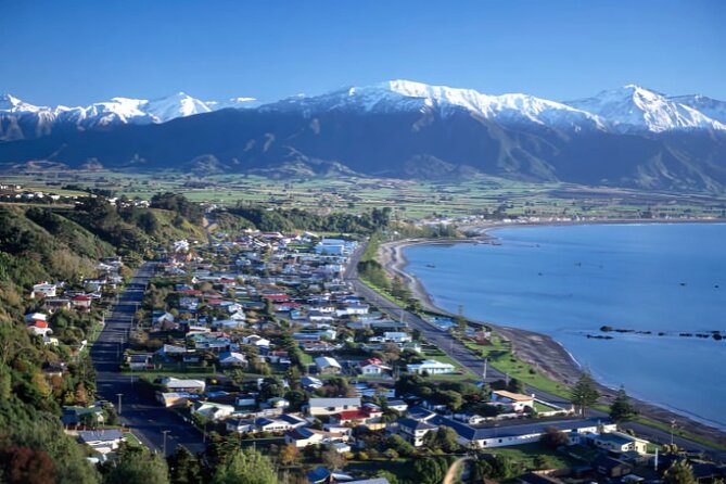 Kaikoura Day Tour From Christchurch - The Peninsula Seal Colony adds a close coastal encounter