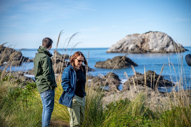 Kaikōura Day Tour From Christchurch With Dolphin Encounter - Why Kaikōura is worth the long ride from Christchurch