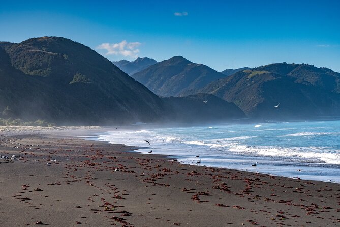 Kaikōura Day Tour From Christchurch With Dolphin Encounter - Equipment and preparation are part of the experience