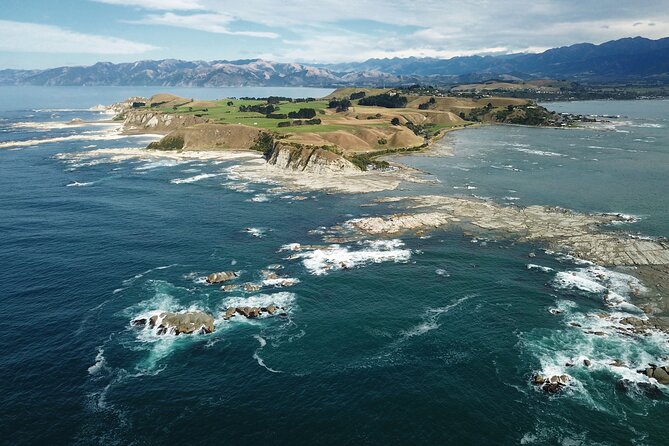 Kaikōura Day Tour From Christchurch With Dolphin Encounter - The optional Waipara wine stop adds a gentle finish
