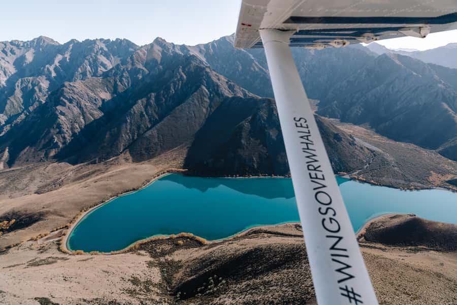 Kaikoura: Extended Flight Whale Watching & Mountain Tour - Starting at 617 State Highway 1 in Peketa