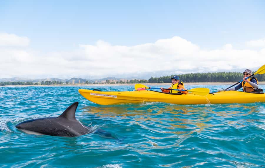 Kaikoura: Guided Family Kayaking Adventure - Starting at 17 Killarney Street in Kaikoura