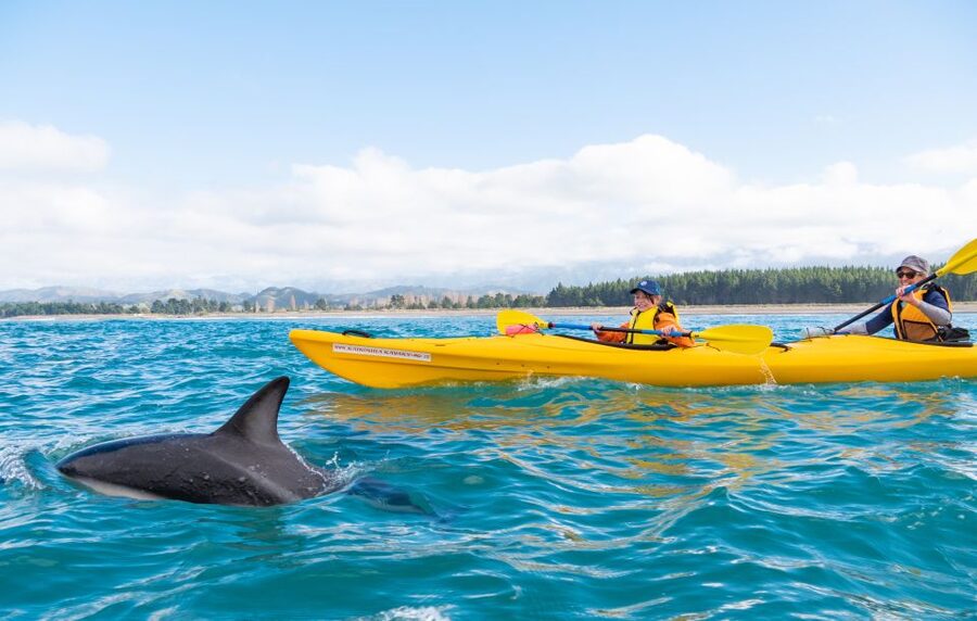 Kaikoura: Guided Family Kayaking Adventure - Why the scenery works so well from a kayak