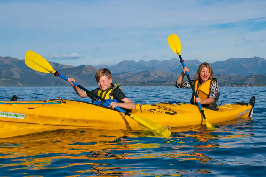 Kaikoura: Guided Family Kayaking Adventure - What to wear and pack for three hours outside