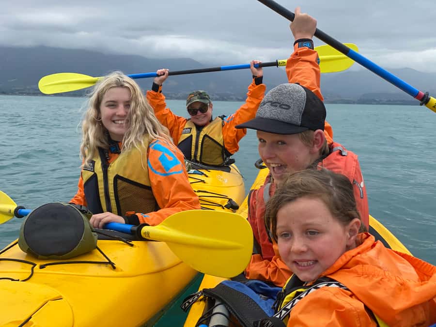 Kaikoura: Guided Family Kayaking Adventure - Is NZ$95 fair value?