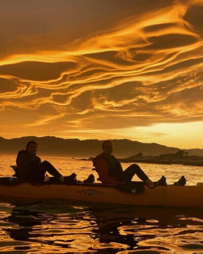 Kaikōura: Kayak Sunset Tour with Seal Sightings