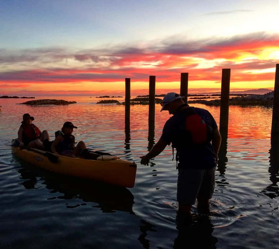 Kaikōura: Kayak Sunset Tour with Seal Sightings - Practical ways to make the evening better