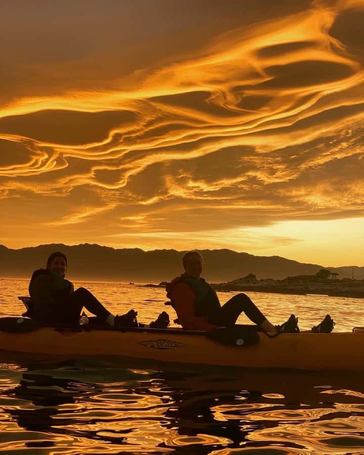 Kaikoura: Private Guided Kayak Tour with Seals - The 15-minute safety briefing