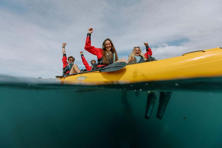 Kaikoura: Seal-Watching Pedal Kayak Tour - Key points to know before you book