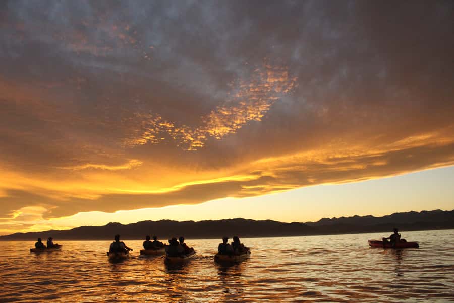 Kaikoura: Seal-Watching Pedal Kayak Tour - What the $83 price really covers