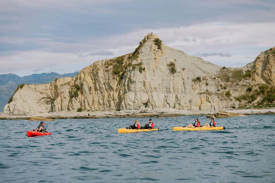 Kaikoura: Seal-Watching Pedal Kayak Tour - Timing, weather, and how to prepare