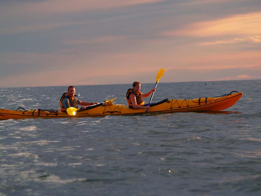 Kaikoura: Sunset Evening Kayaking Tour - The first paddle: learning the rhythm of the sea