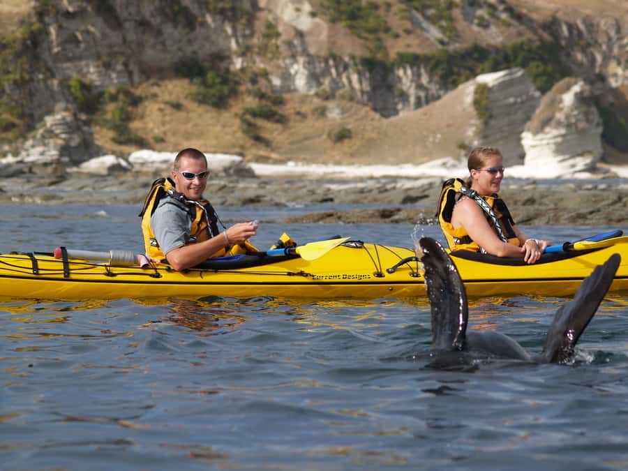 Kaikoura: Sunset Evening Kayaking Tour - The cultural and historical side of the route