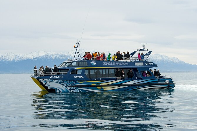 Kaikoura Whale and Dolphin Overnight Tour from Christchurch - Why Kaikoura works so well for a short wildlife trip