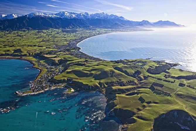 Kaikoura Whale Watch Day Tour from Christchurch - Key points to know before booking
