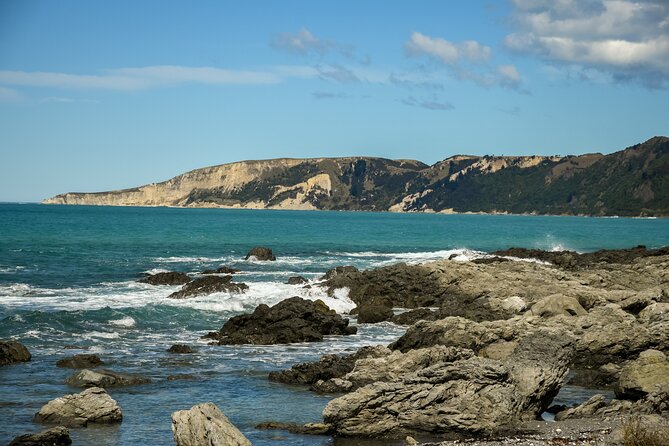 Kaikoura Whale Watch Tour from Christchurch - Small Group - Four hours on the Kaikōura whale-watching boat