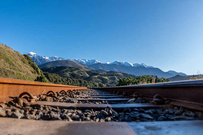 Kaikoura Whale Watch Tour from Christchurch - Small Group - Waipara wine on the return journey