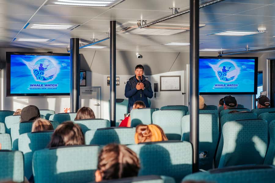 Kaikoura: Whale Watching Cruise - What the catamaran is like at sea