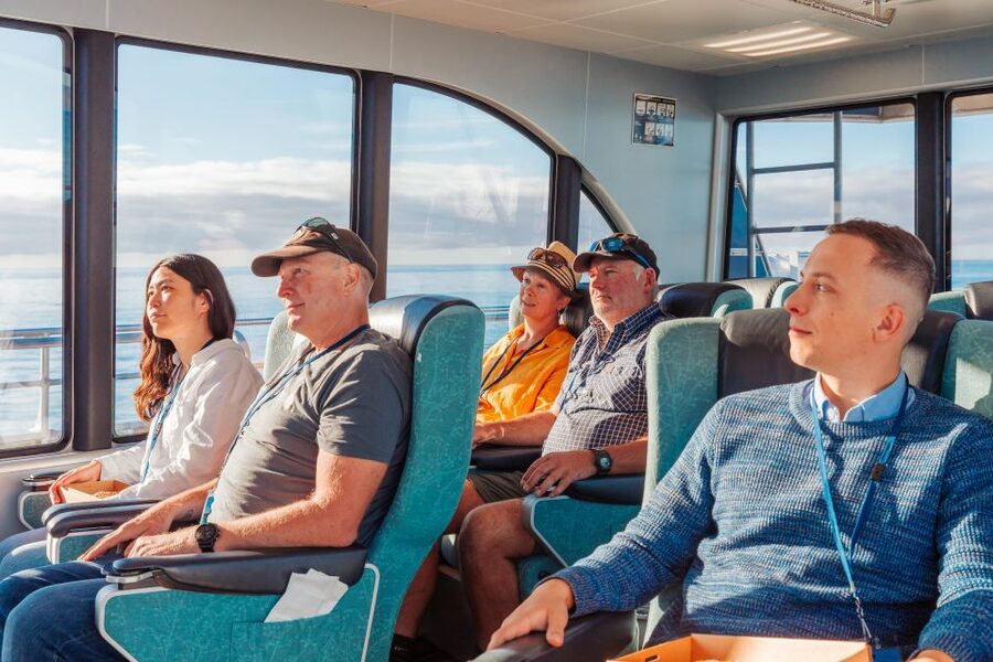 Kaikoura: Whale Watching Cruise - The first wildlife search, from seals to seabirds