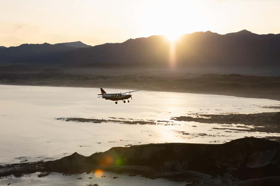 Kaikoura: Whale Watching Flight with Commentary - Key points before you book