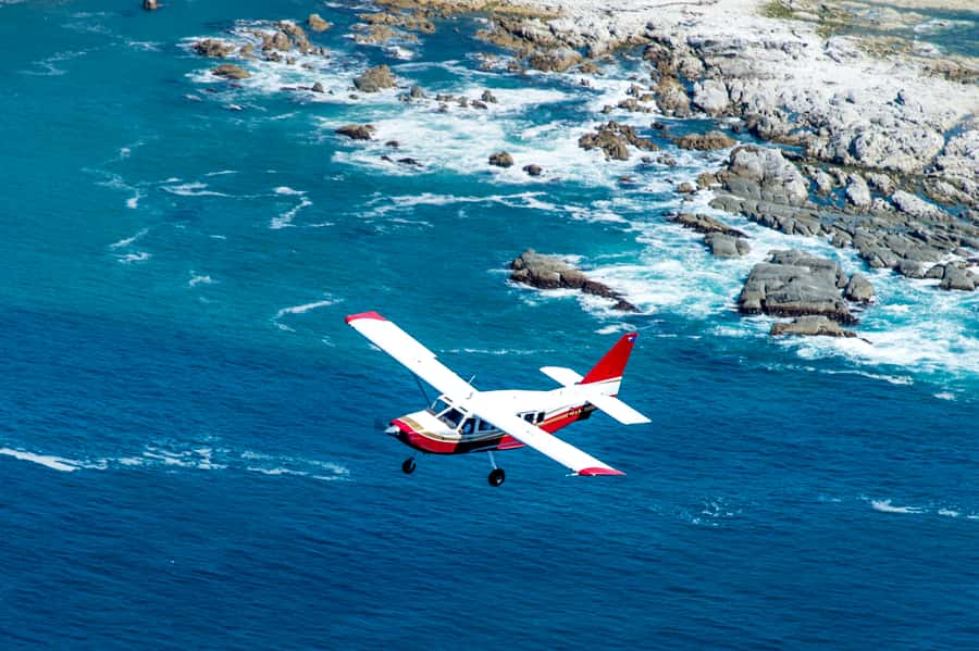 Kaikoura: Whale Watching Flight with Commentary - Who will enjoy this flight most?